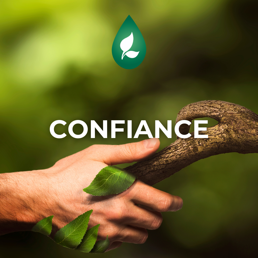 Confiance