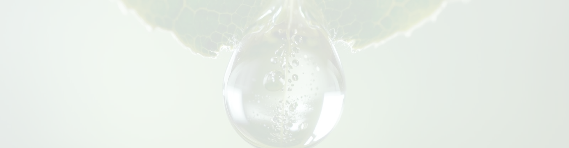 Mentions légales CGV confidentialité NaturÔauthentic